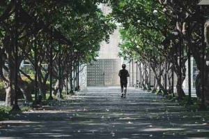 鉴黄师官网入口流程复盘全景复盘：冷知识实用指南