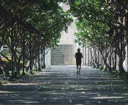 鉴黄师官网入口流程复盘全景复盘：冷知识实用指南