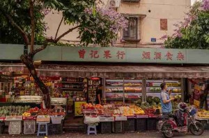 一文读懂每日大赛官网赛程看点，懒人包