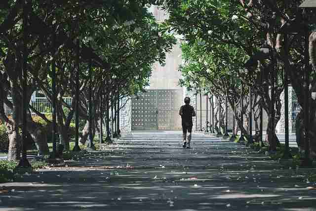 鉴黄师官网入口流程复盘全景复盘:冷知识实用指南